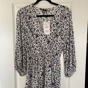 Zara Leopard Print Dress